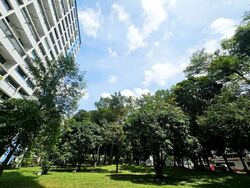 Blk 503 Panshan View (Bukit Panjang), HDB Executive #587166431